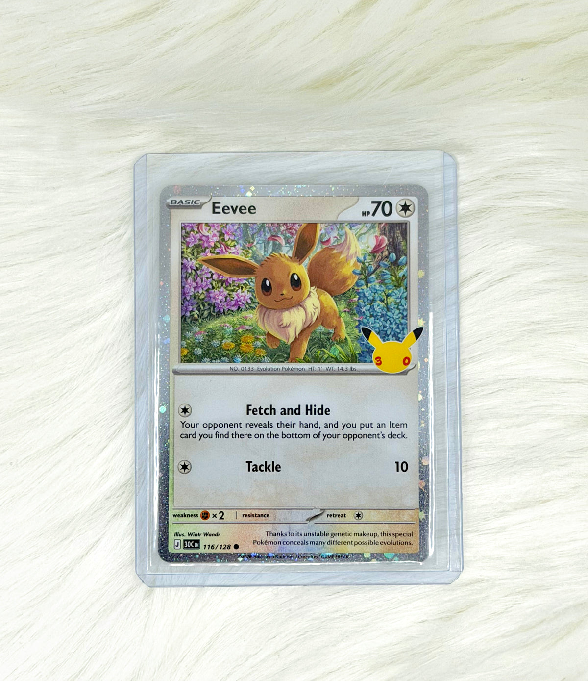 Pokémon TCG Eevee 116/128 | 30th Celebration | Common | English | Near Mint